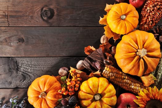 Thanksgiving – various pumpkins with nuts,berries,corn and cereals on wooden boards with text clearance