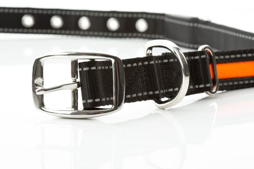Light collar for dogs