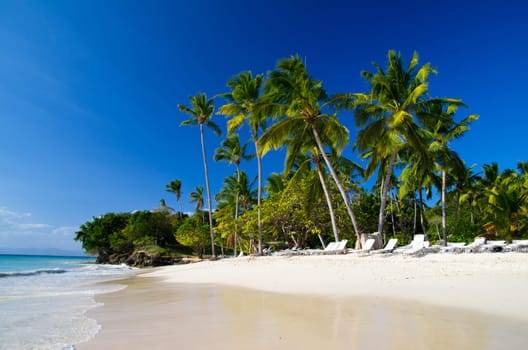 beautiful beach and tropical sea
