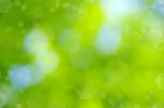 Natural green a blurred background