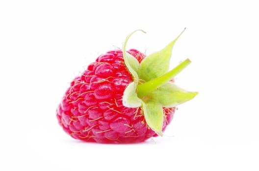 fresh raspberry closeup isolated on white background