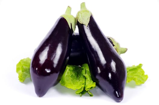 aubergine isolated on white background