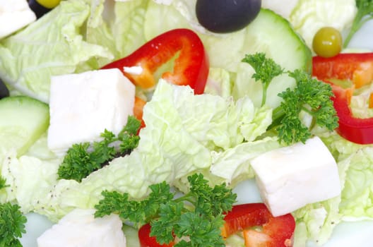 close-up of healthy fresh salad