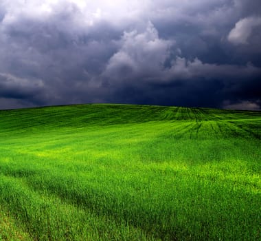green field and blue sky