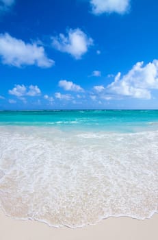tropical sea under the blue sky