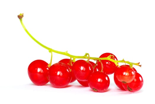 red currant isolated on a white background
