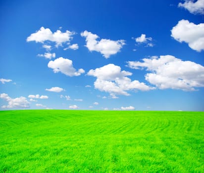 field on a background of the blue sky