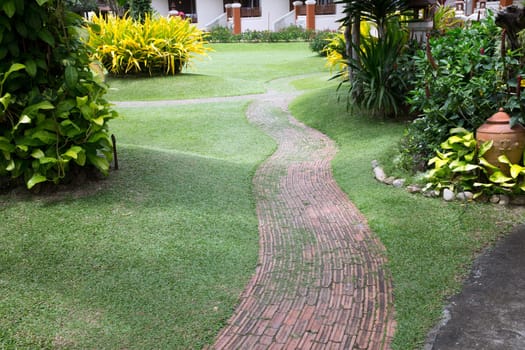 Garden stone path with grass