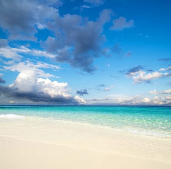 beautiful beach and tropical sea