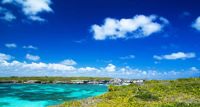 beautiful beach and tropical sea