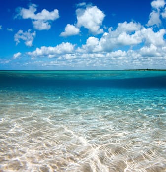Caribbean clear beach and tropical sea
