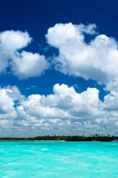 tropical sea under the blue sky