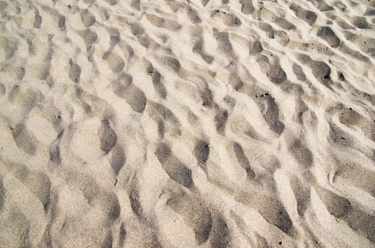 Close up shot of coral sand
