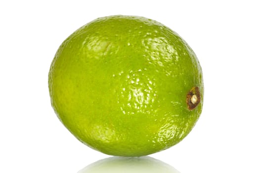 lime isolated on white background