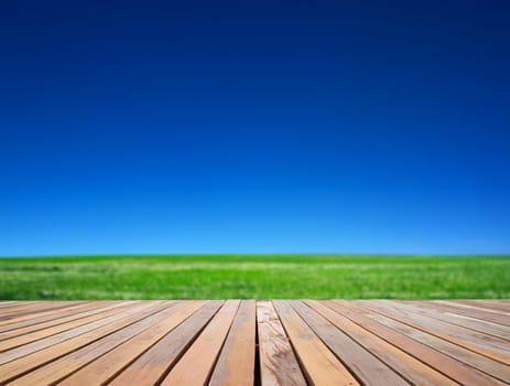 field on a background of the blue sky