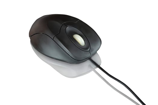 black computer mouse isolated on white