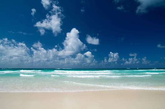 sea beach blue sky sand sun daylight relaxation landscape