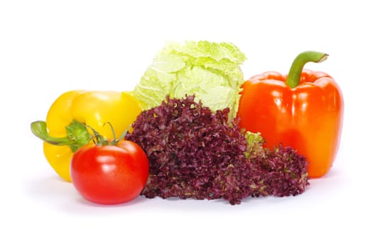 fresh vegetables on the white background