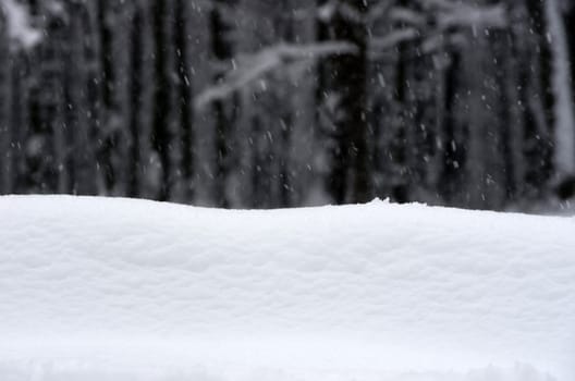 winter background with snow texture close up