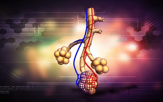 Digital illustration of alveoli in colour background