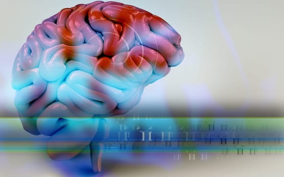 Digital illustration of brain in colour background