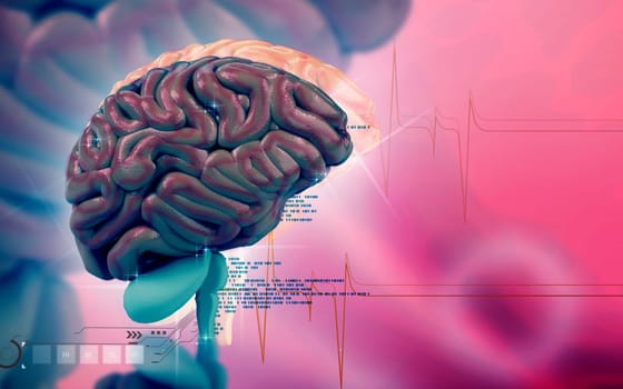 Digital illustration of brain in colour background