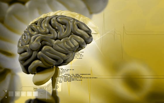 Digital illustration of brain in colour background