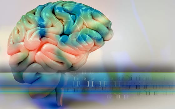 Digital illustration of brain in colour background