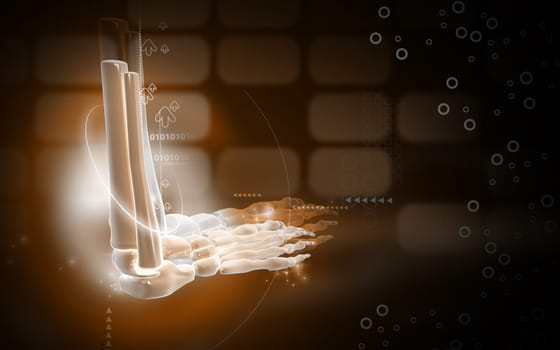 Digital illustration of Leg bone in colour background