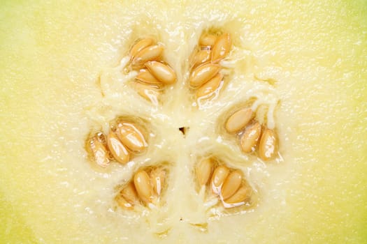 close up of ripe cantaloupe melon with seeds