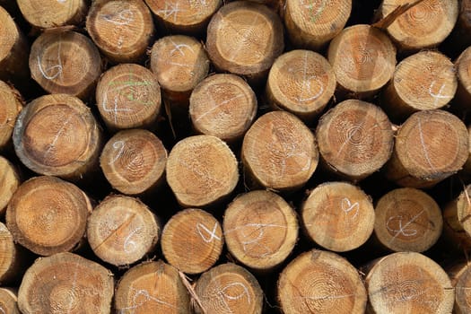 Stack of wood logs background