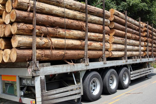 Timber trailer and stack of logs at a forest