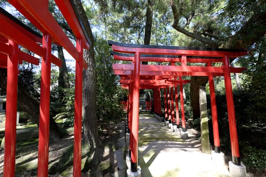Orange torii gates at shinto shrine in Japan