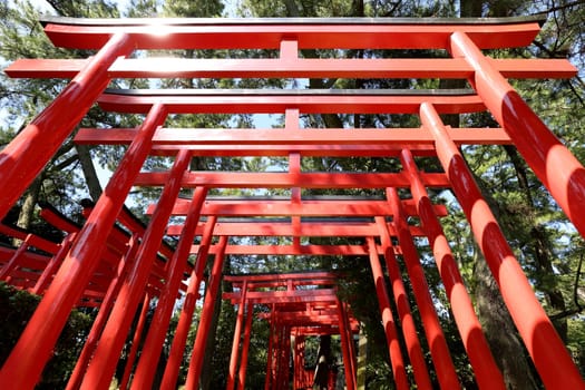 Orange torii gates at shinto shrine in Japan