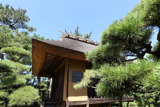 View of Japanese garden with tea house
