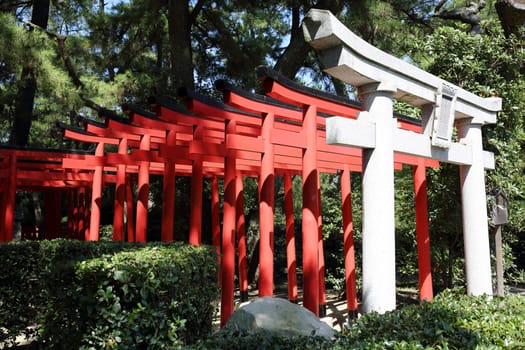 Torii gates at shinto shrine in Japan