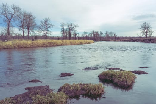 River landscape with grass leading out into the water with trees along the shoreline.