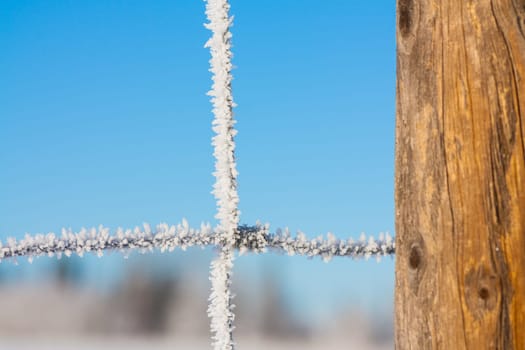 Close-up of a fence covered in hoar frost with tree bokeh and blue sky in the background.