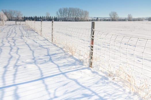 A prairie winter landscape of a fence in the snow with shadows.
