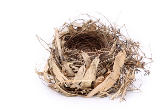 Detail of empty bird nest on white background