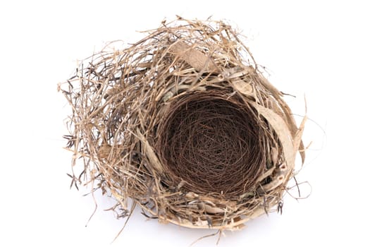 Detail of empty bird nest