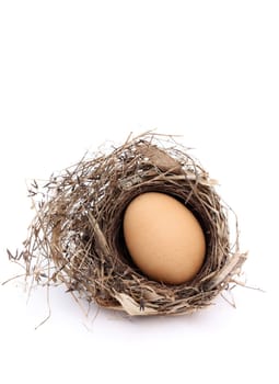 brown egg in nest on white background