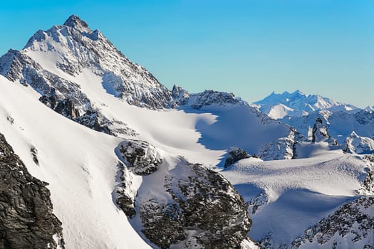 Wild Winter Mountain World