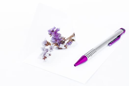 Envelope with pen isolated on white background, stock photo