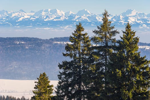 Vue des Alpes