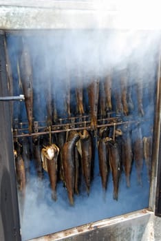 Fish in a smoking smoker