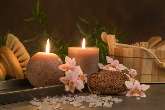 Wellness
