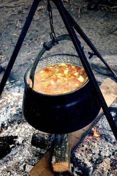 Iron boiler with vegetables - soup on the open fire