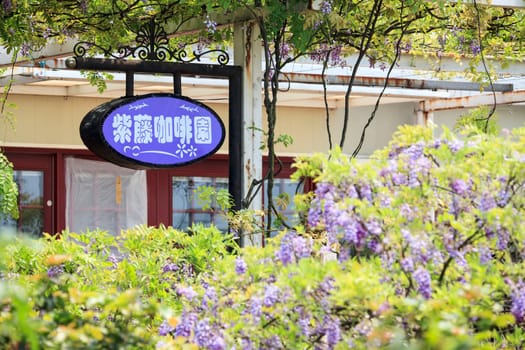 New Taipei City,Taiwan - Apr 11,2012