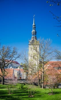 View of the Old Tallinn beautiful spring day. Estonia
